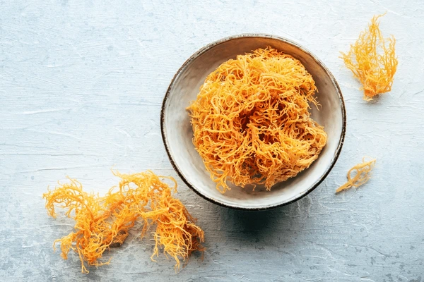 The New 2025 Trend: What are the Real Sea Moss Gel Benefits for Skin Acne 1 sea moss gel benefits for skin acne - Sea moss gel in a glass bowl on a wooden board